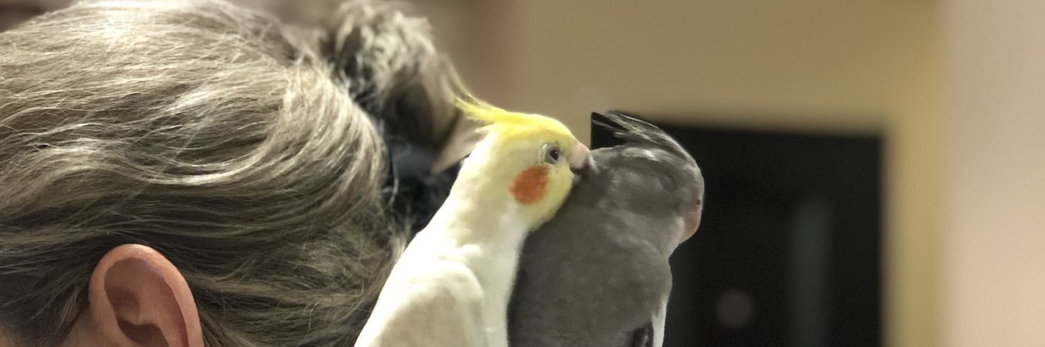 MariajoseeMp's profile banner image