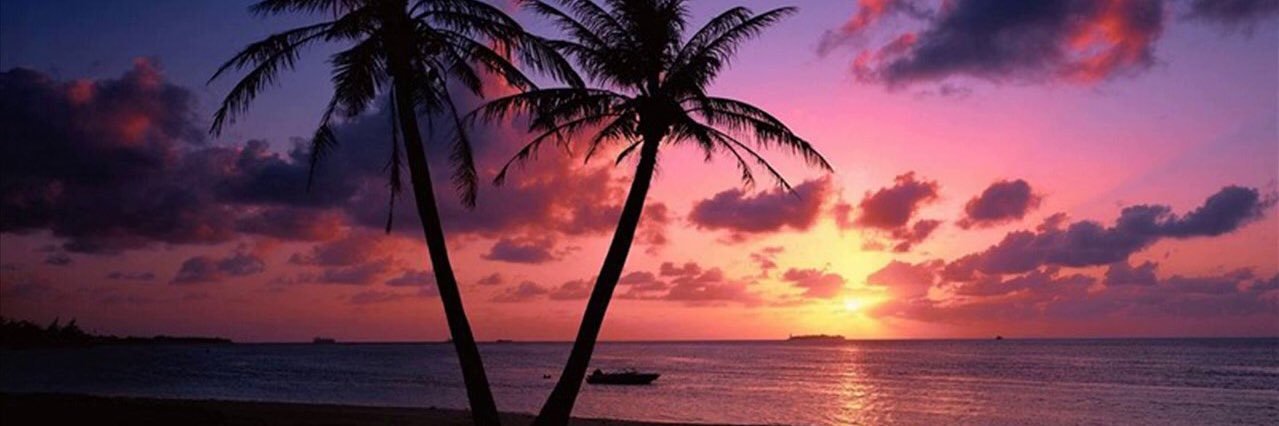ashleyroe7's profile banner image