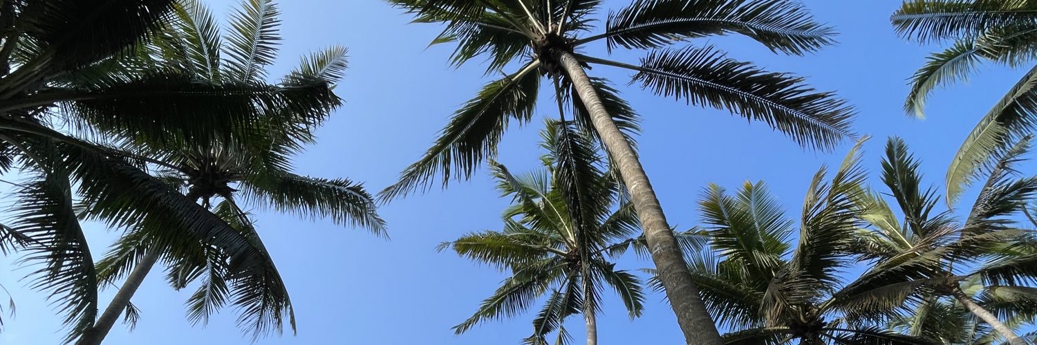 Dimasprago's profile banner image
