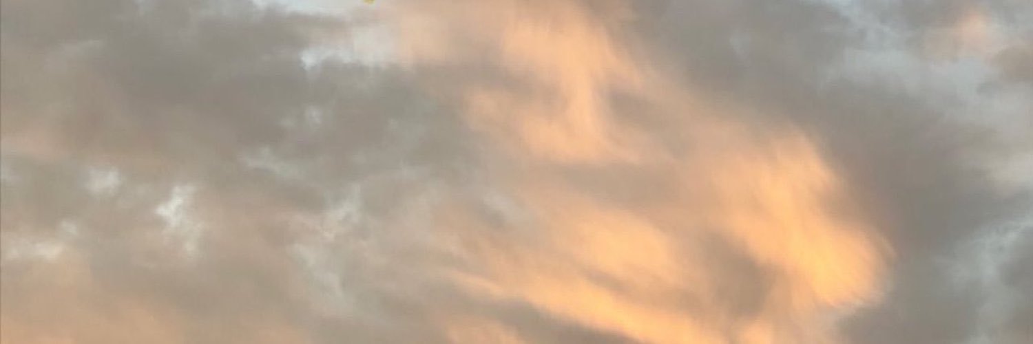 pamcamarena's profile banner image