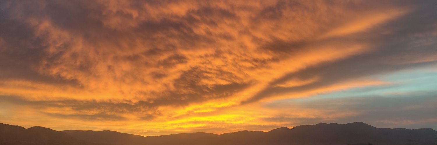 TheCopiousSilo's profile banner image