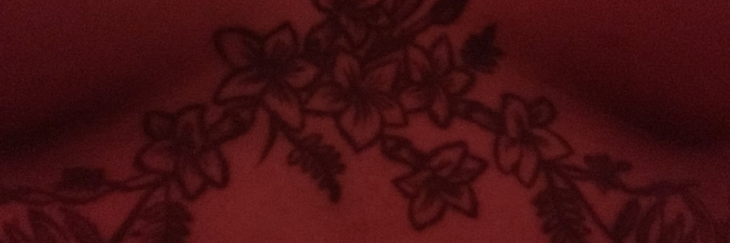 LLCool_Shaee's profile banner image