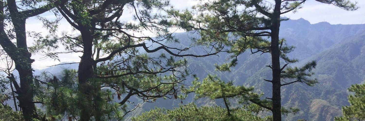 mahabeyb's profile banner image