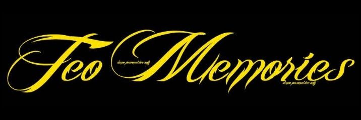 teomemories's profile banner image