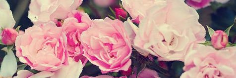 MISS_BARRON24's profile banner image