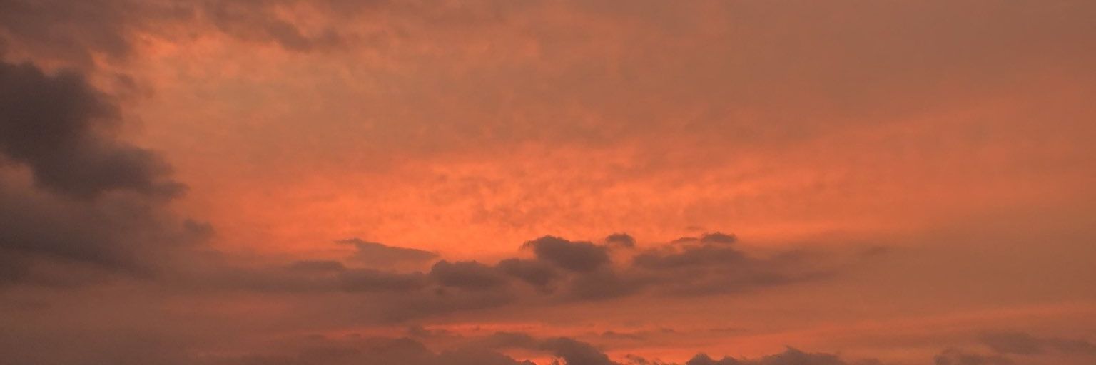 needyforfun's profile banner image