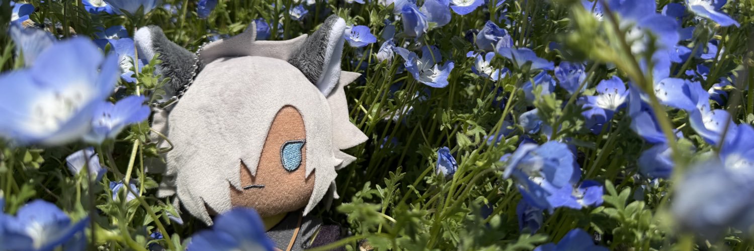 9m4zd's profile banner image