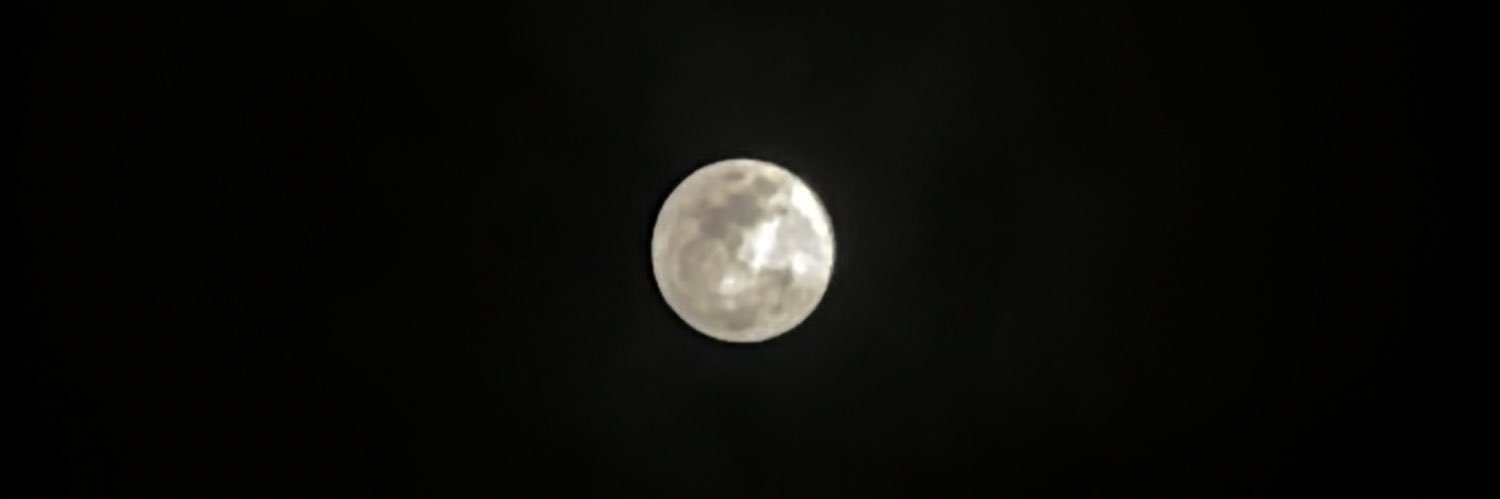 oididds's profile banner image