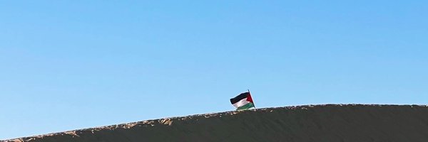 ahmadmohielden Profile Banner