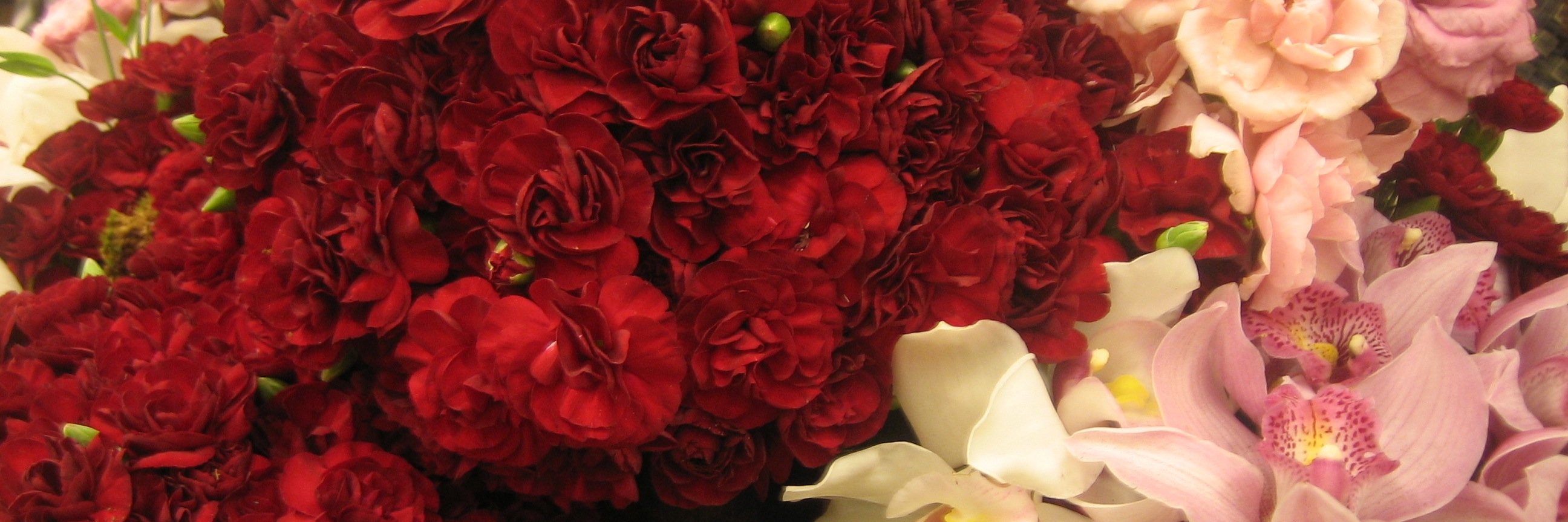 aarif11b's profile banner image