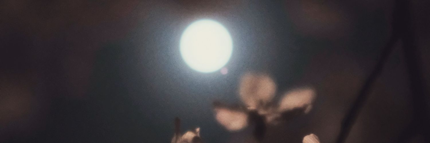 gilliannamcf's profile banner image