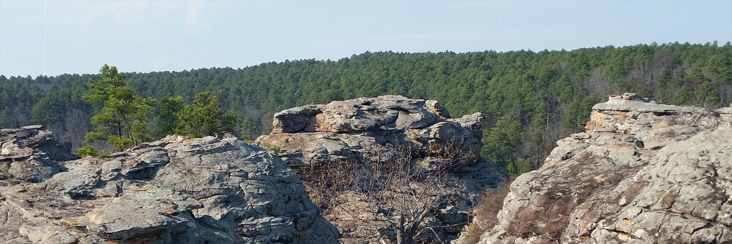 t_roy274's profile banner image