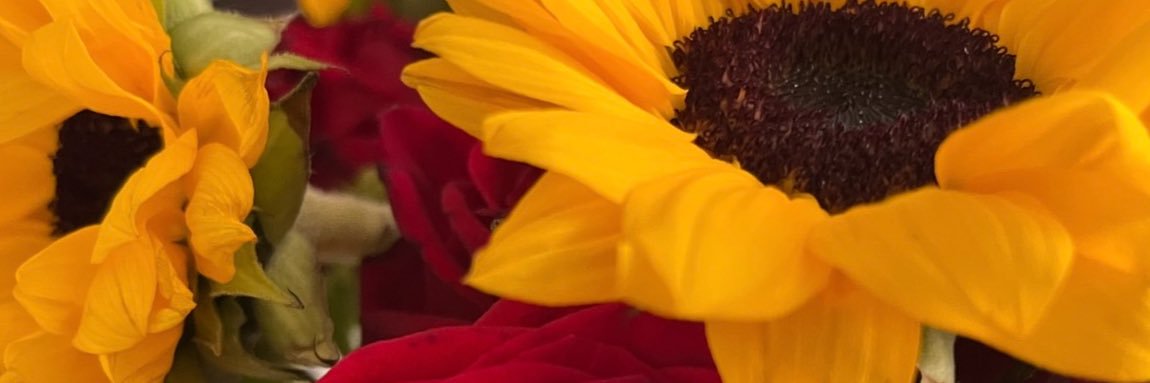 ✨🧚🏾‍♀️ Mamita 🧚🏾‍♀️✨ banner