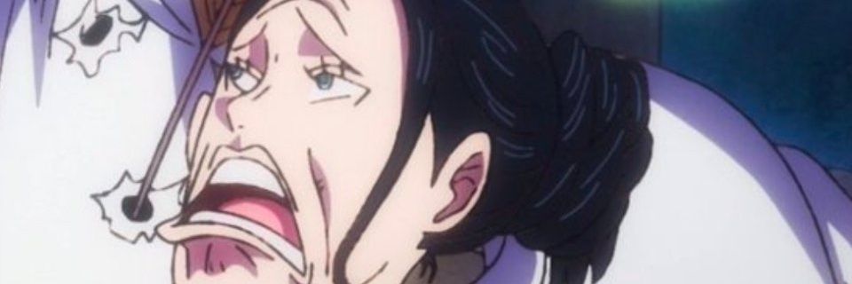 NP. banner