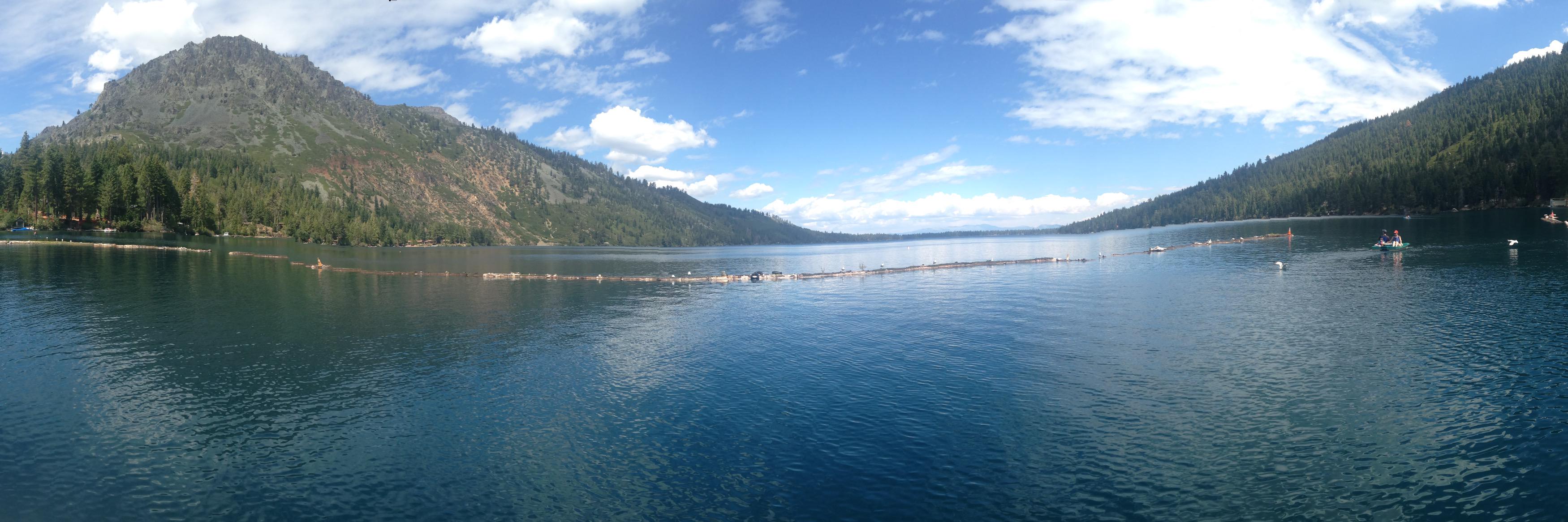 Jonathan Forsander banner