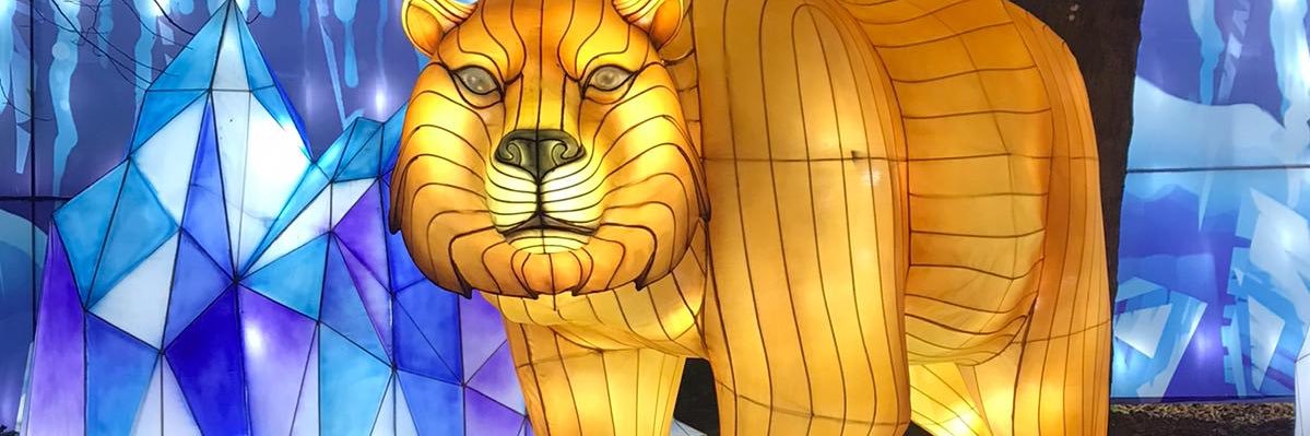 cheu71's profile banner image