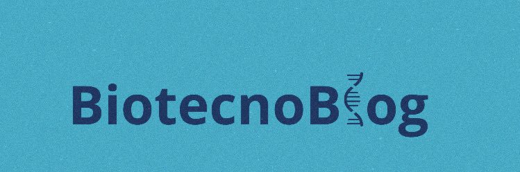 Agustin — bio/acc banner