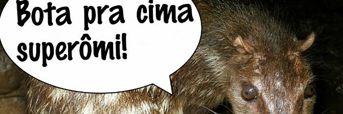Luciano Abrahão banner