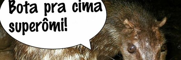 LCAbrahao Profile Banner