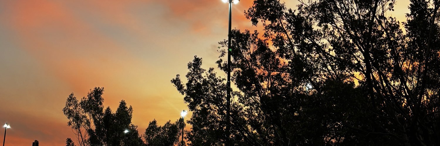 F E R N A N D A;🌻 banner