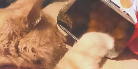 ..•° Hermi °•.. banner