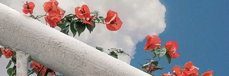 arwitaprsd's profile banner image