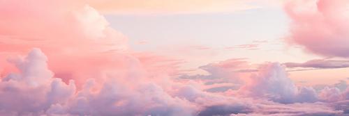 petrichor banner