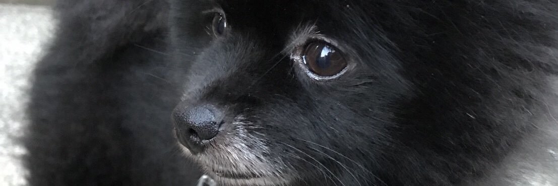 __black___'s profile banner image
