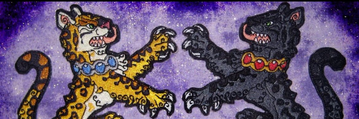 NHPanthers's profile banner image