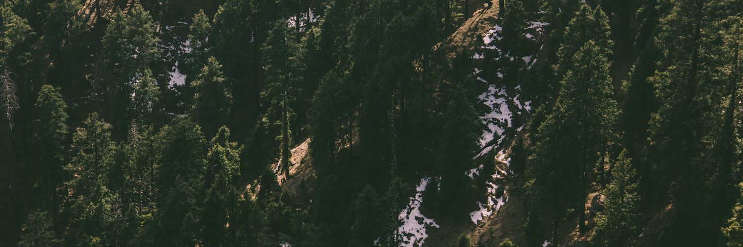 perspectmusic's profile banner image