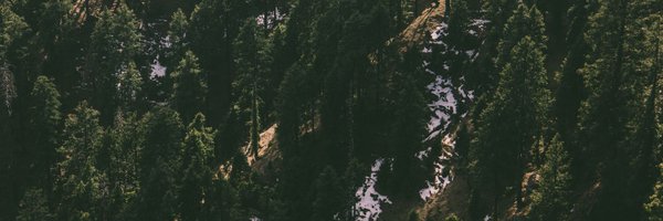 perspectmusic Profile Banner