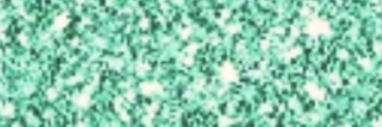 NeesXiomi's profile banner image
