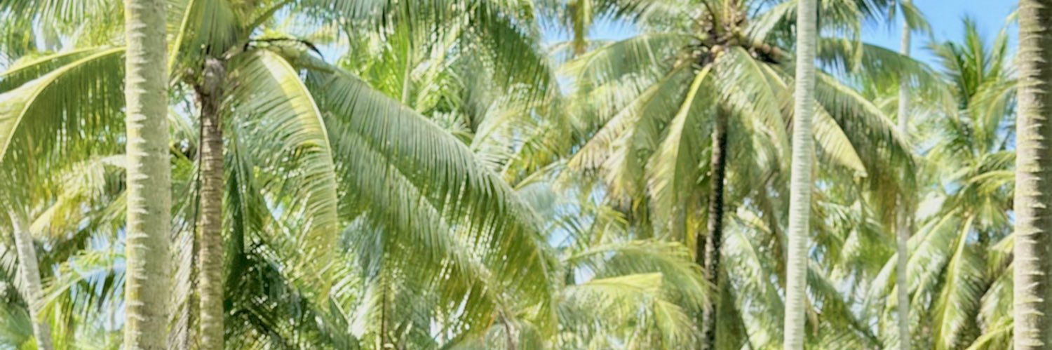 adhrmdis's profile banner image