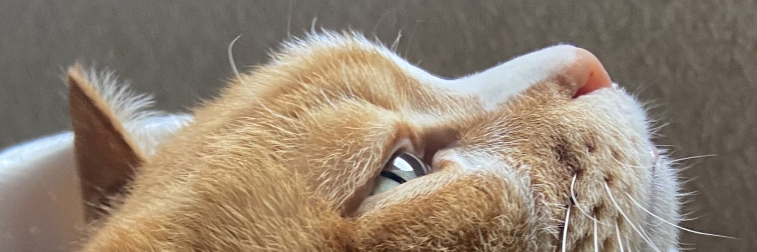 nikeppachi's profile banner image