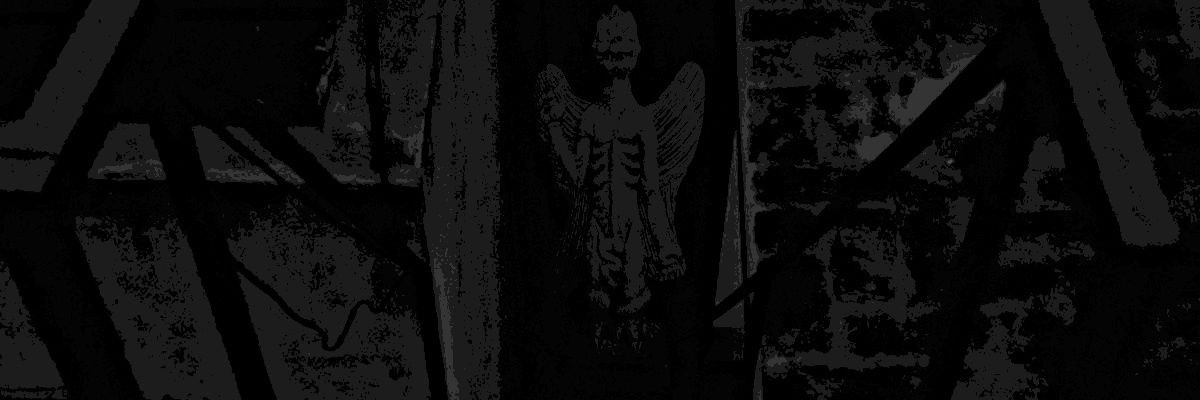 Ashley Martínez banner