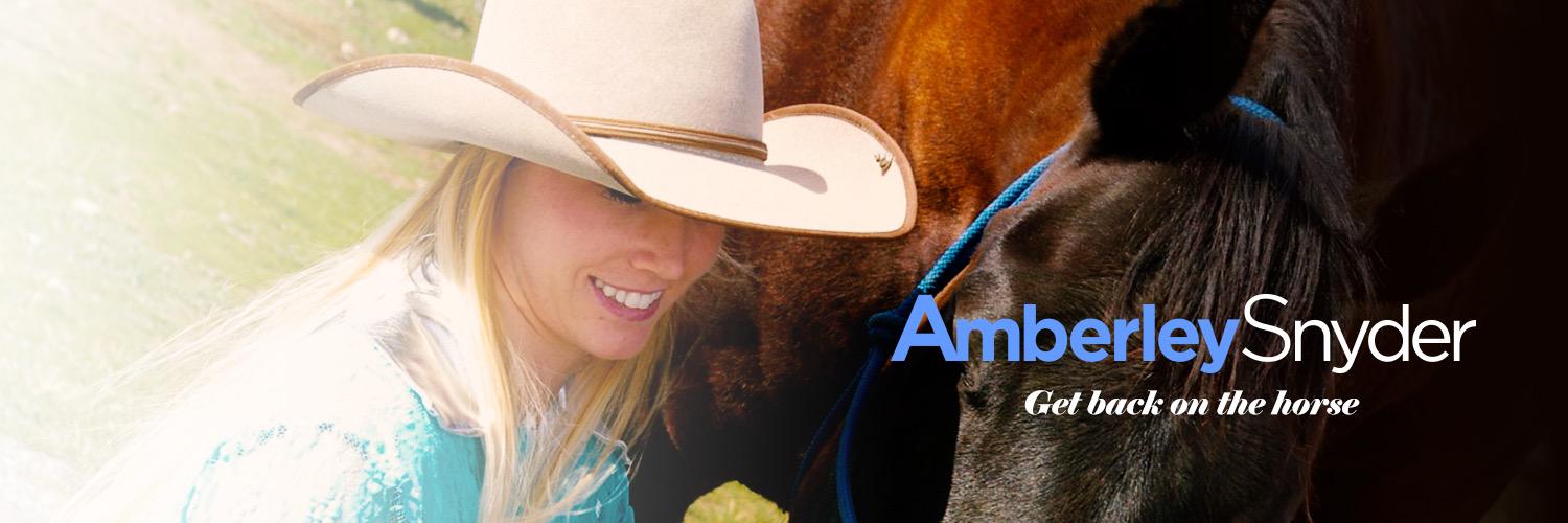 Amberley Snyder banner