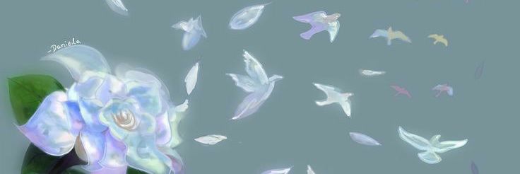 aswtnhsnh banner