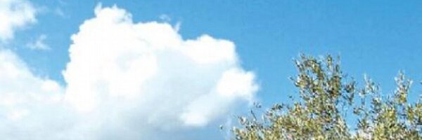 JArmangue Profile Banner