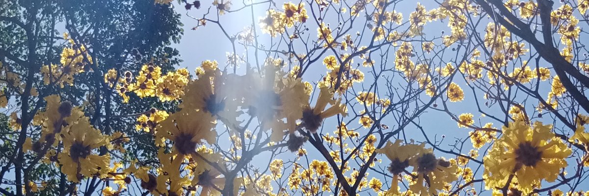 hn_angels's profile banner image