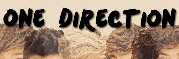 1DChile banner