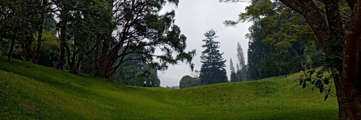 upinnn__'s profile banner image