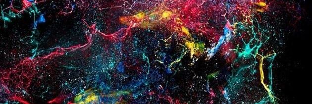 davidezilli1's profile banner image