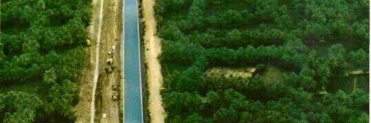 علي بن الحسين بن علي banner