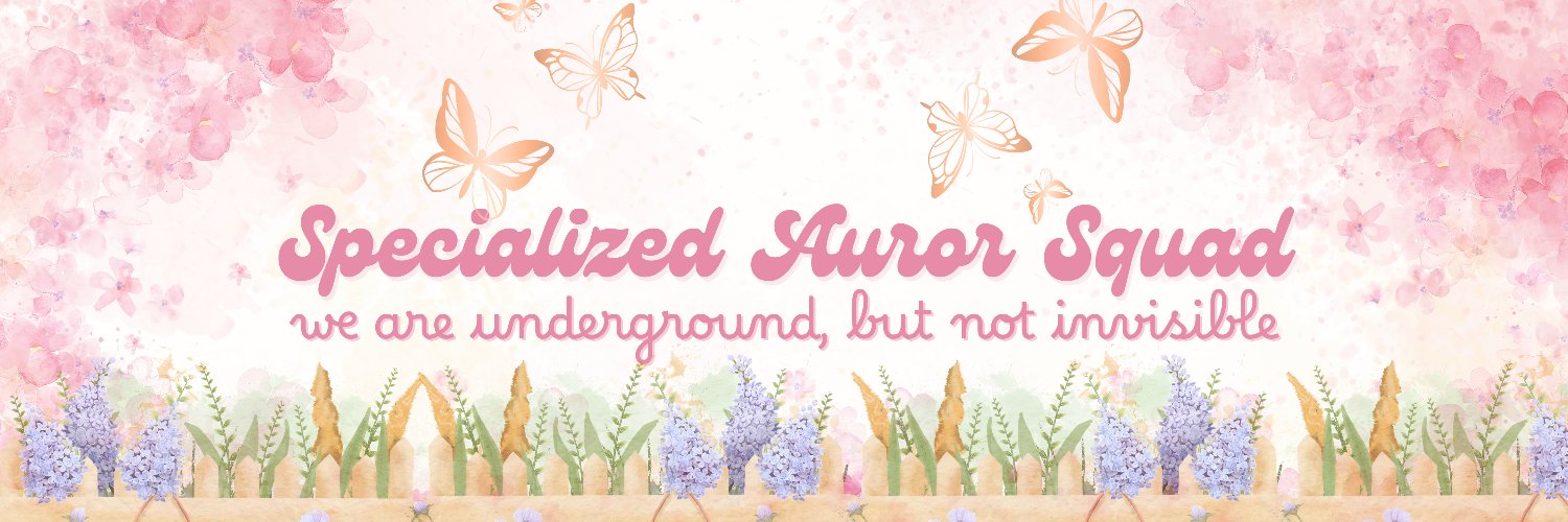 𝐒𝐀𝐒. banner