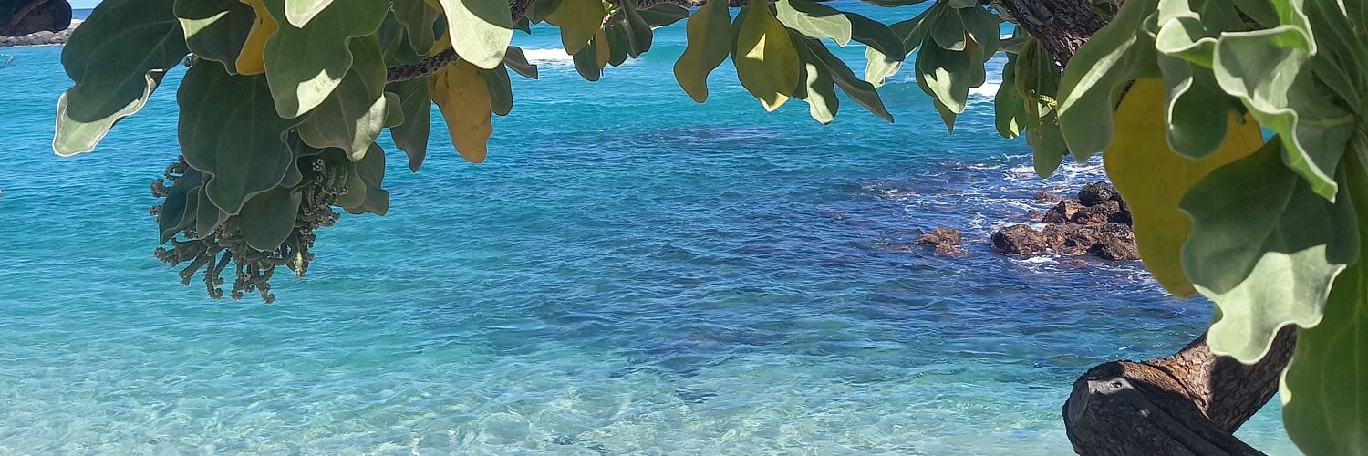 MarcChloe's profile banner image