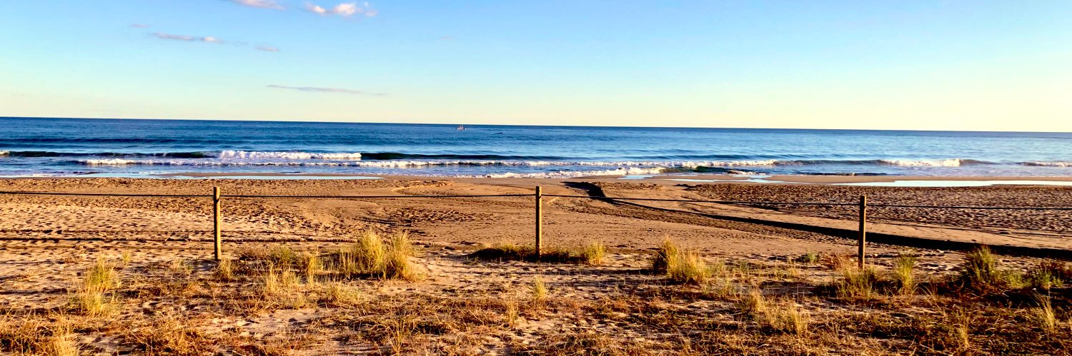 Montse Andreu Magarolas banner