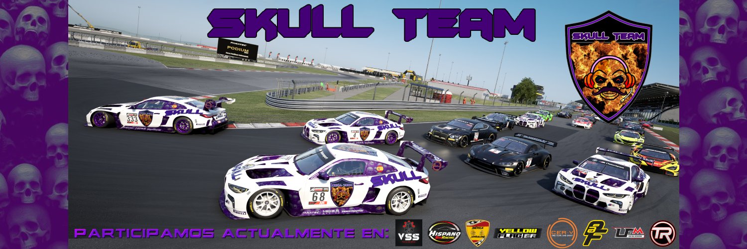 Skull Team banner