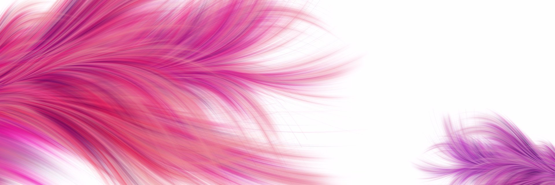 Xocolatu's profile banner image