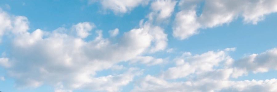 virginiamillanb's profile banner image