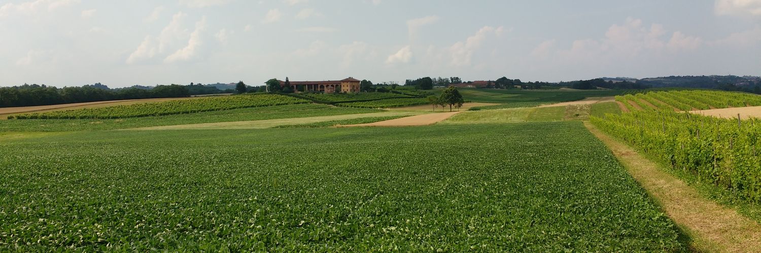 Crepill illupo Cristian banner